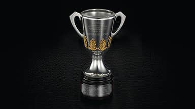  2024 AFL Premiership Cup Replica